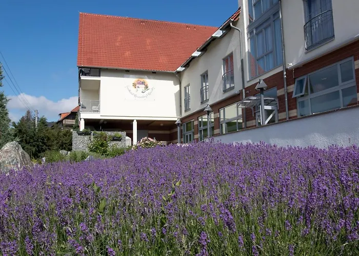 Landhotel Kräuterbergl Kreischa